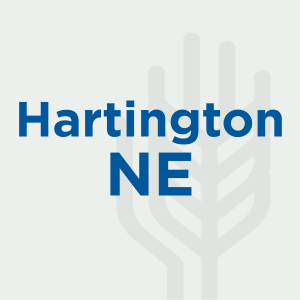 Hartington NE