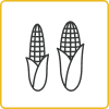 Corn Icon_Kernels per row