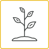 Soybean Icon_Nodes per plant