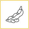 Soybean Icon_Seeds per pod