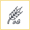 Wheat Icon_Ears per plant-1