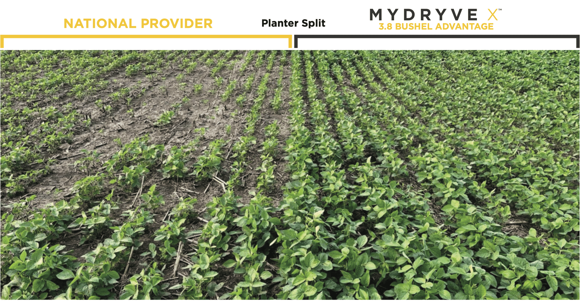 MY DRYVE X vs. National Provider