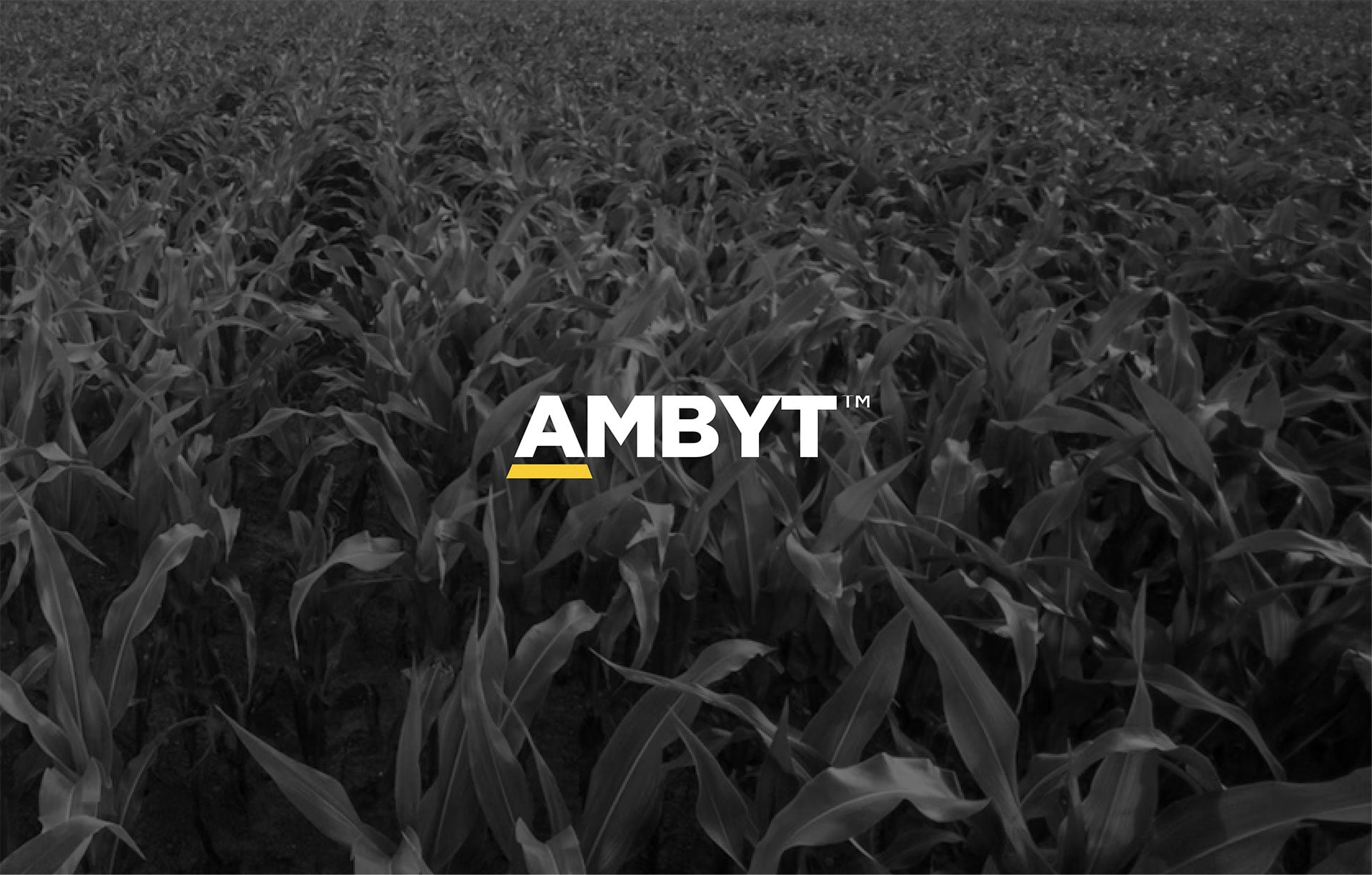 Product-Photo_AMBYT_Corn