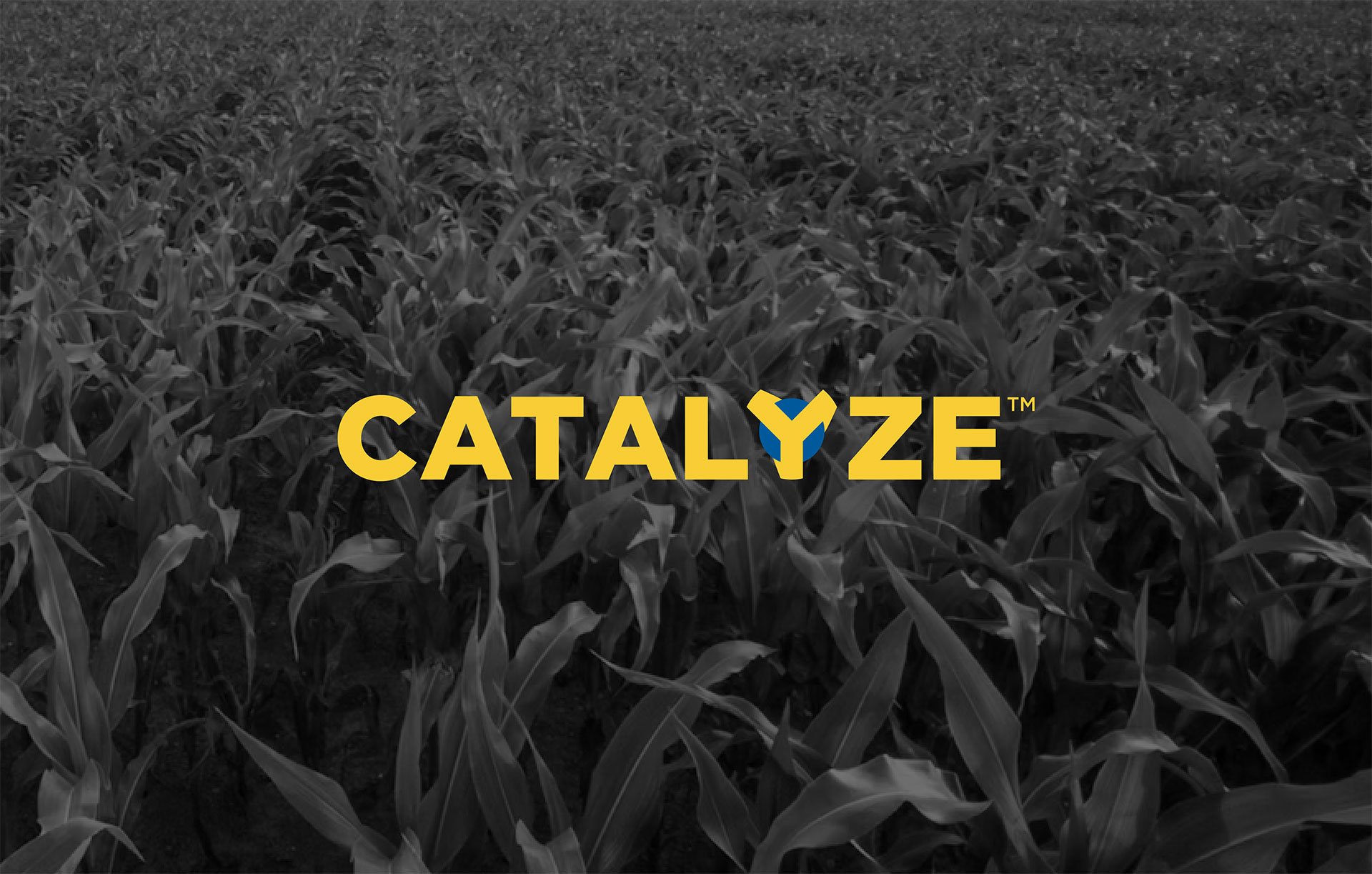 Product-Photo_CATALYZE_Corn