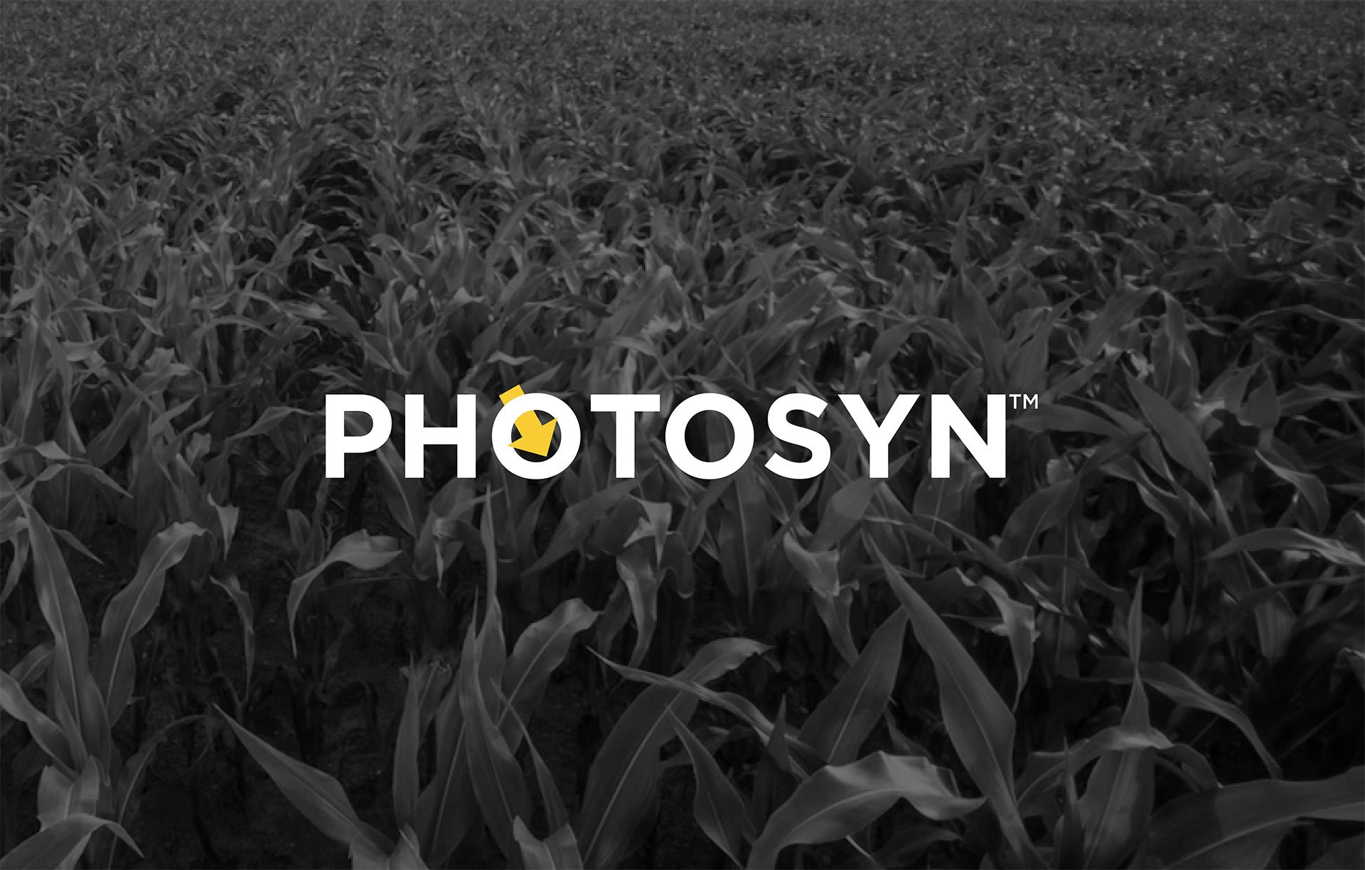Product-Photo_PHOTOSYN_Corn