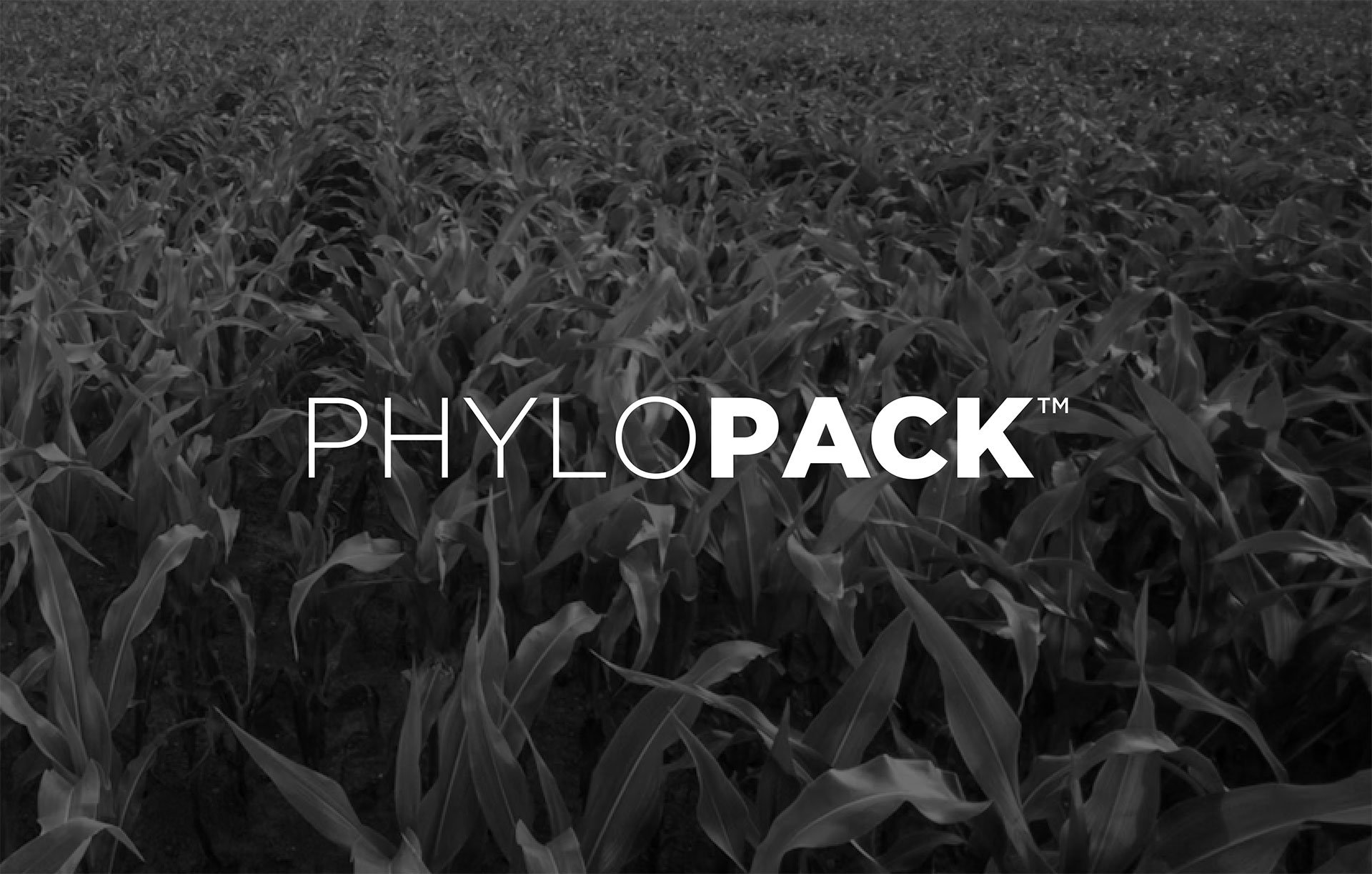 Product-Photo_PHYLOPACK_Corn