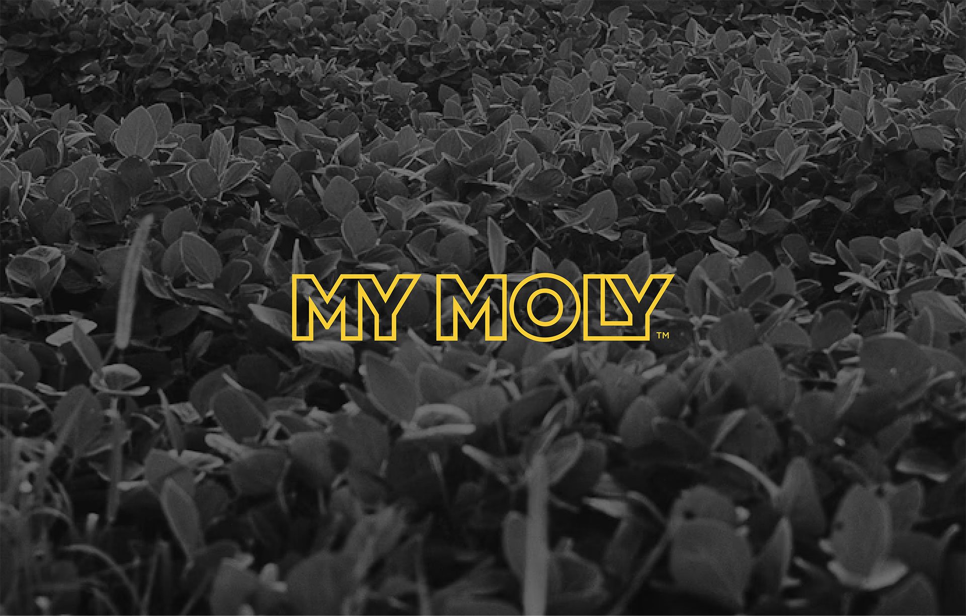 Product-Photo_MYMOLY_Soybean
