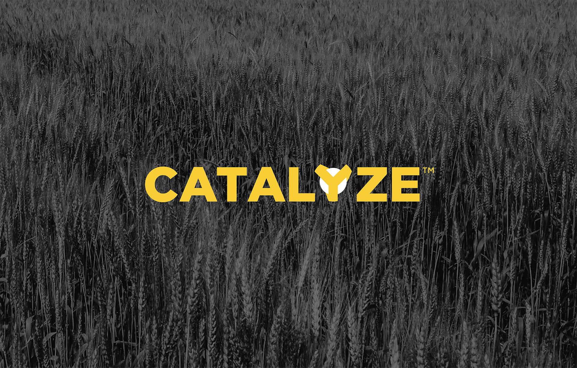 Product-Photo_CATALYZE_Wheat