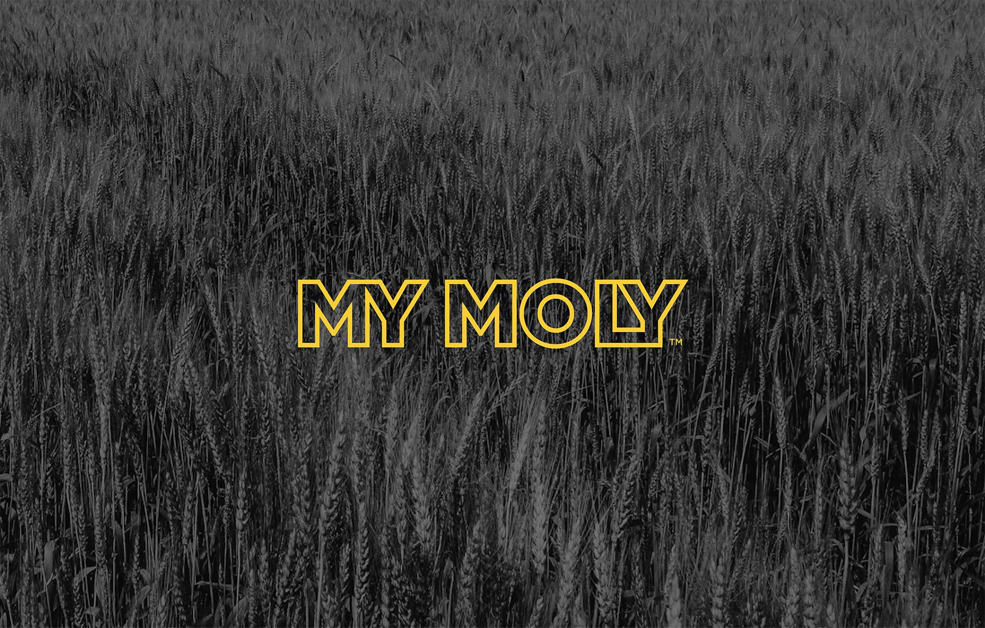 Product-Photo_MYMOLY_Wheat