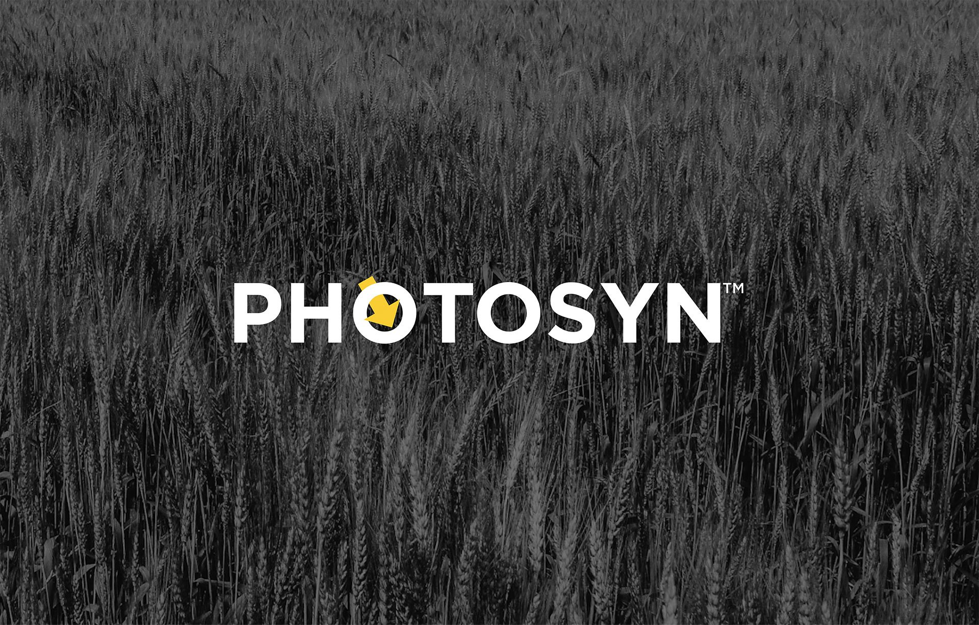 Product-Photo_PHOTOSYN_Wheat
