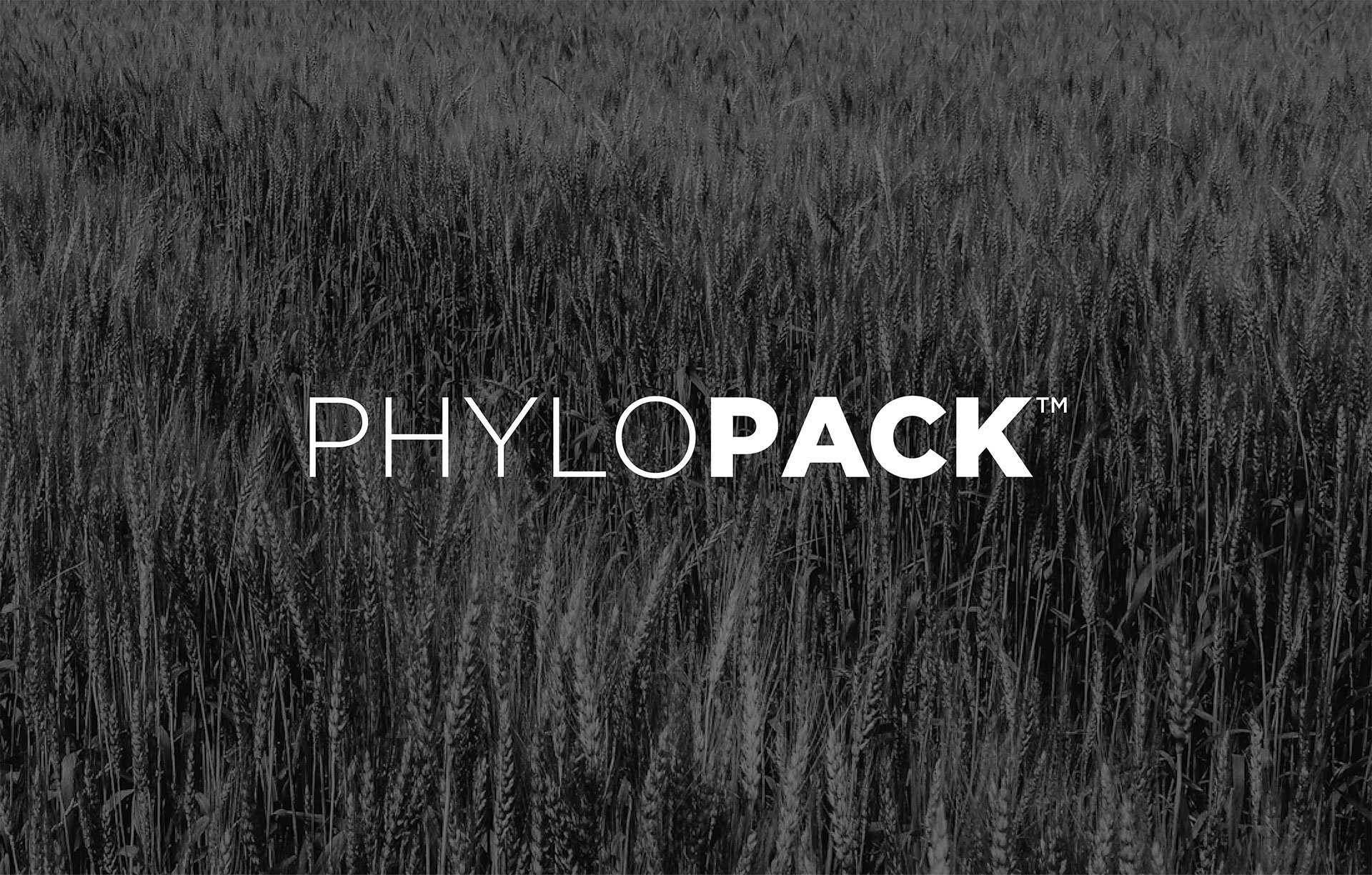 Product-Photo_PHYLOPACK_Wheat