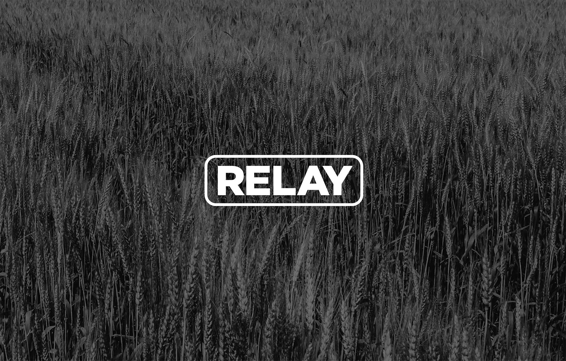 Product-Photo_RELAY_Wheat
