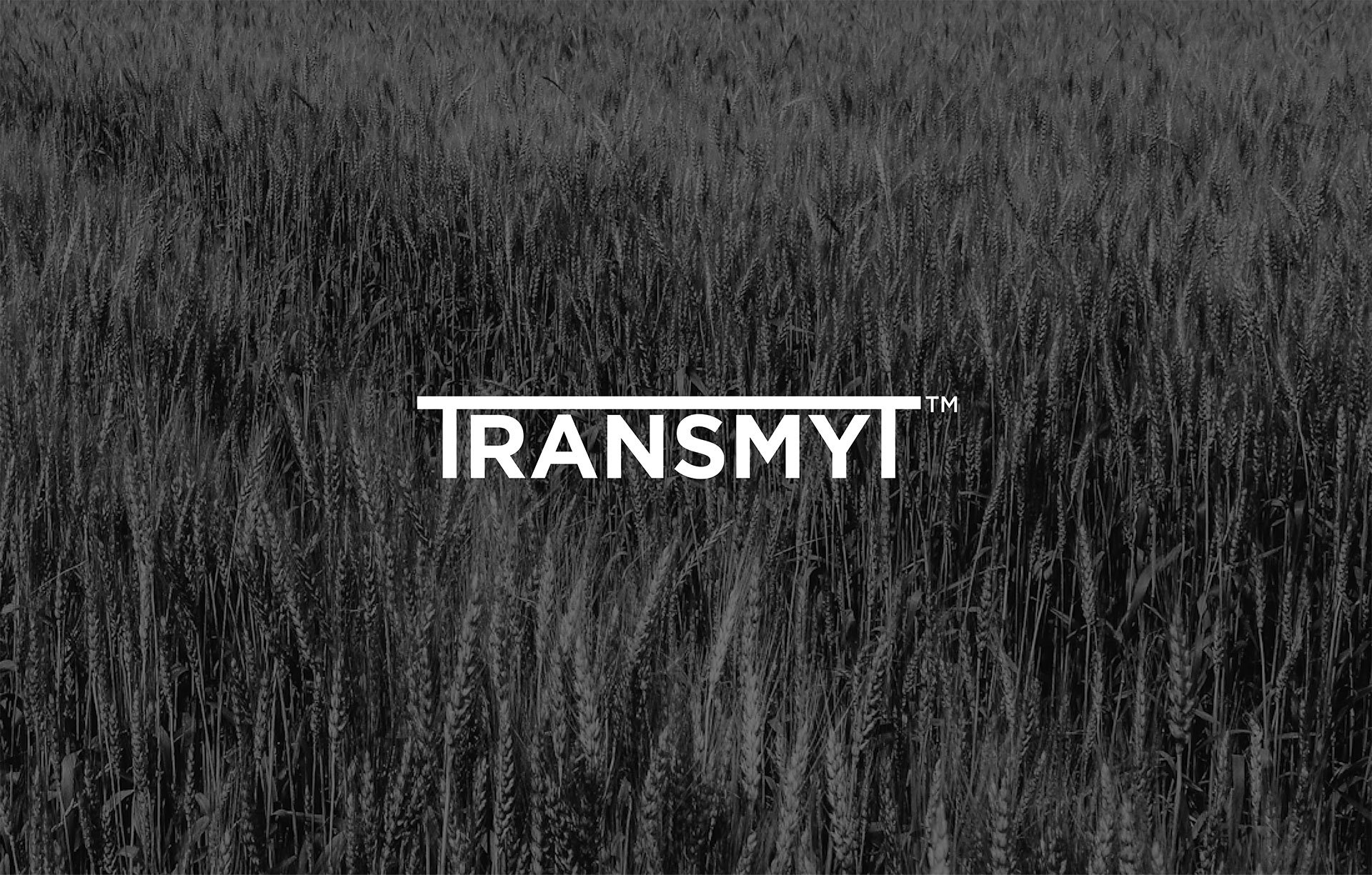 Product-Photo_TRANSMYT_Wheat