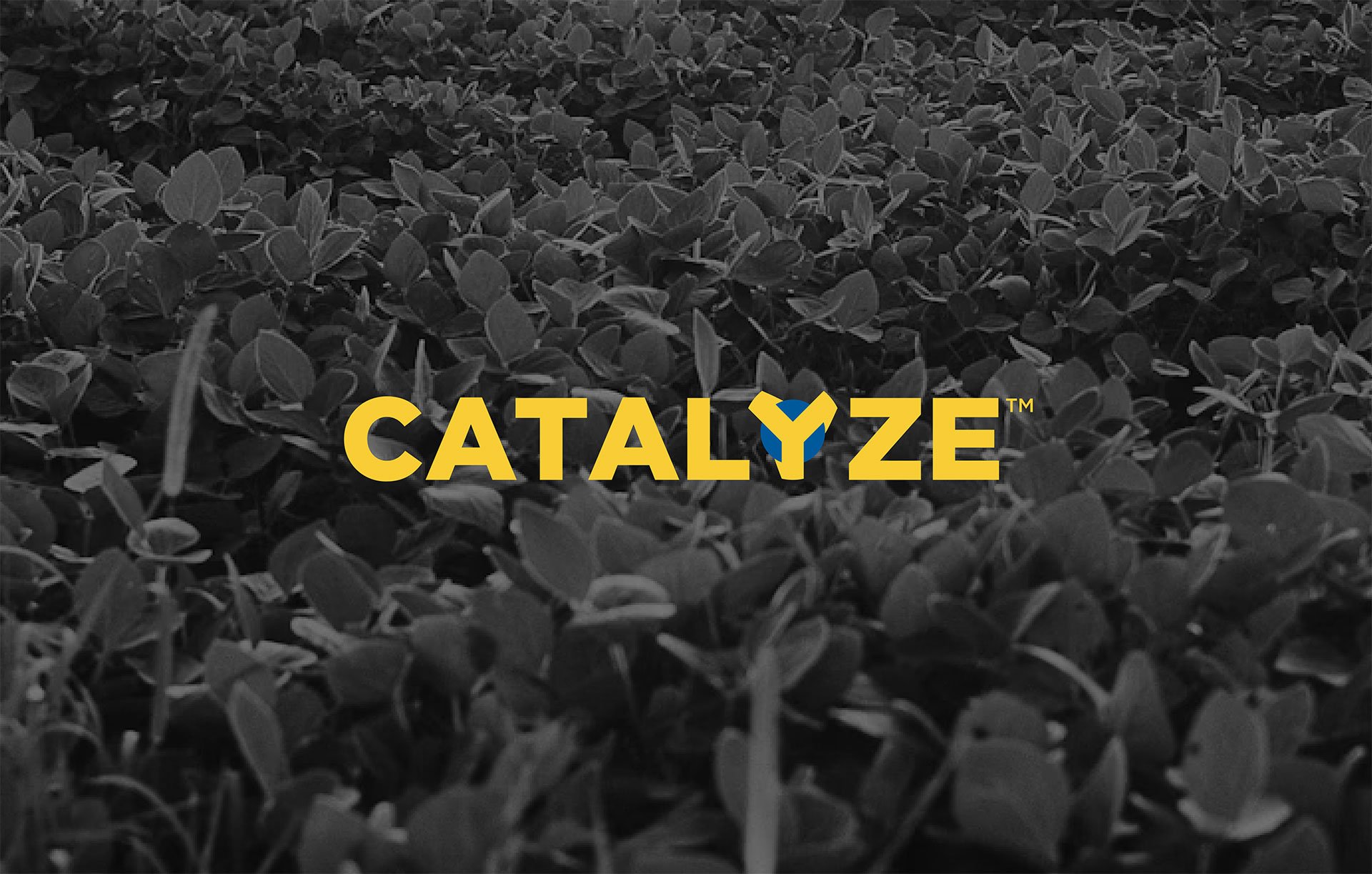 Product-Photo_CATALYZE_Soybean-1