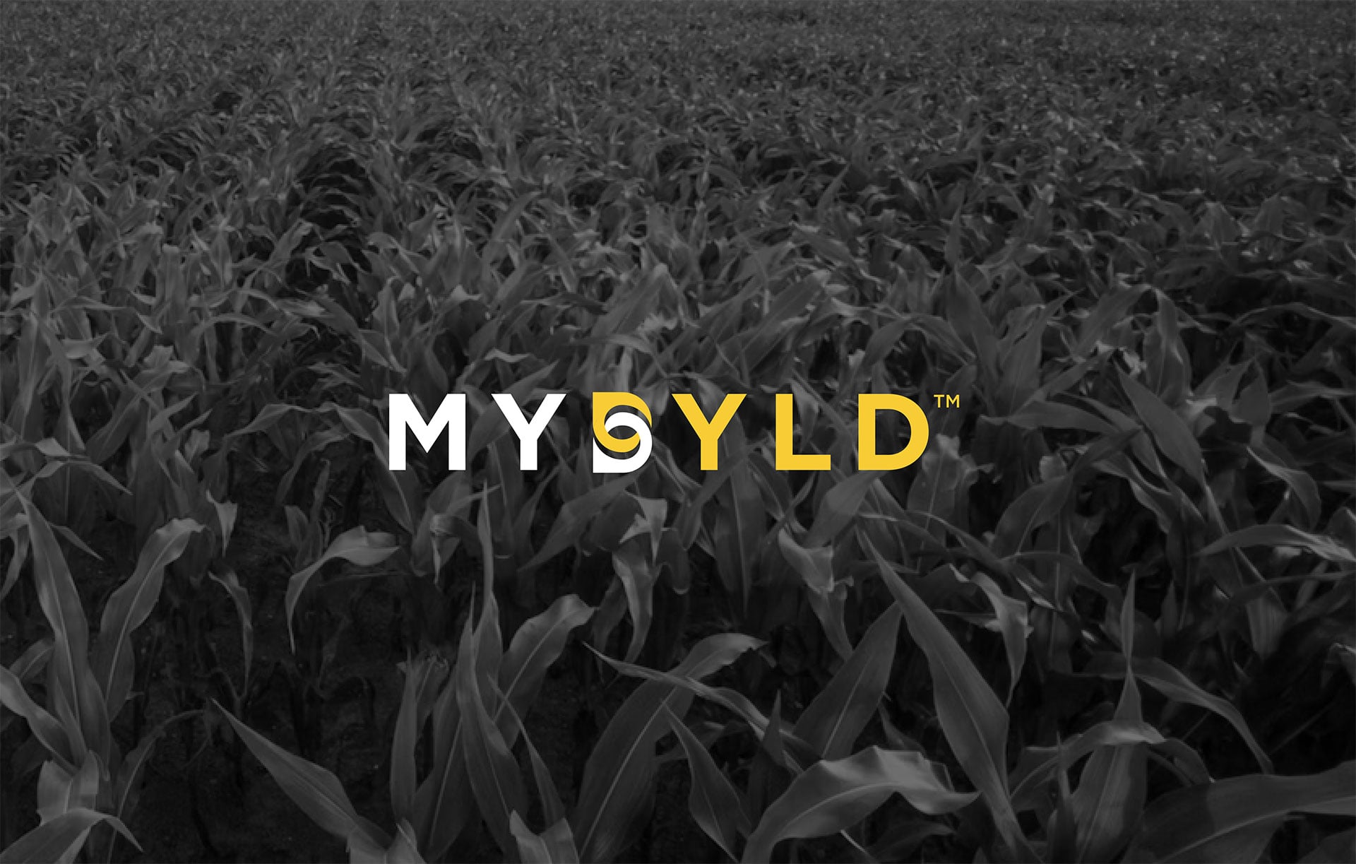 Product-Photo_MYBYLD_Corn