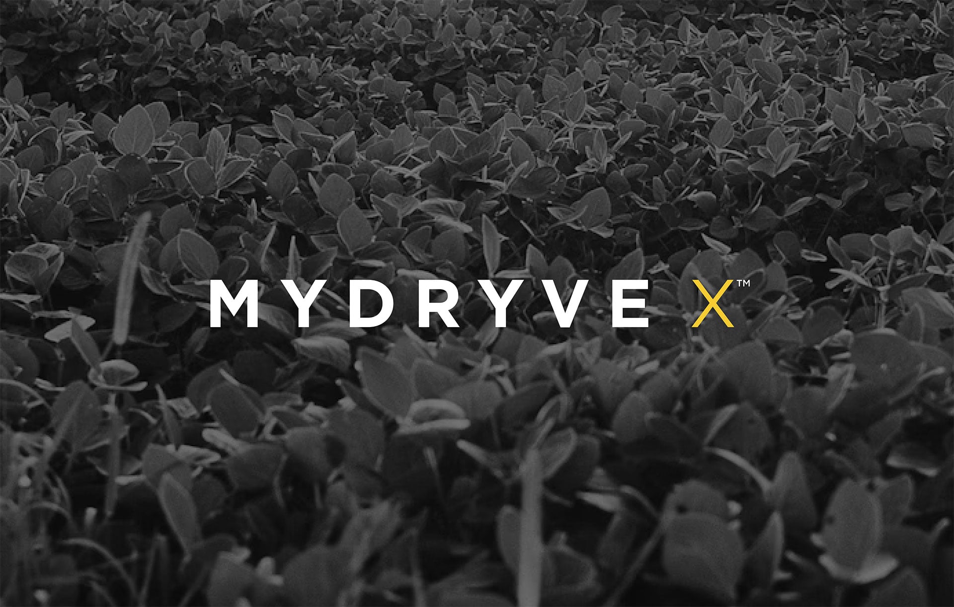 Product-Photo_MYDRYVE-X_Soybean