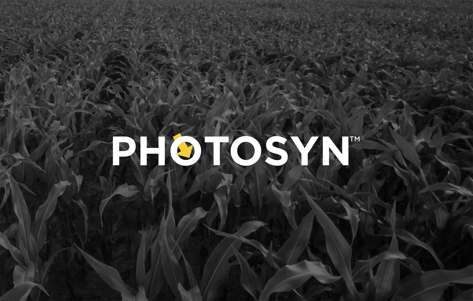 Product-Photo_PHOTOSYN_Corn