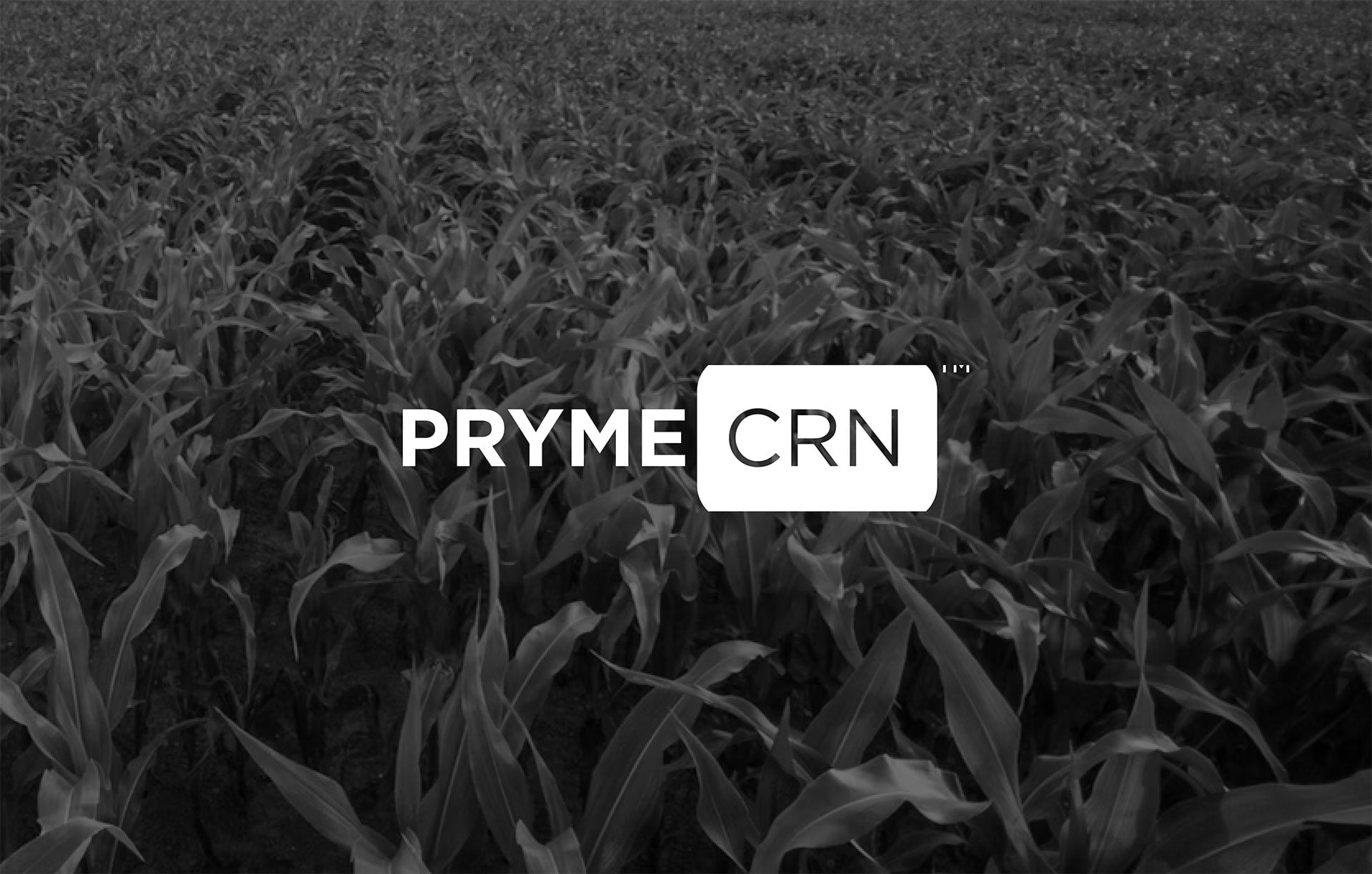 Product-Photo_PRYME-CRN_Corn