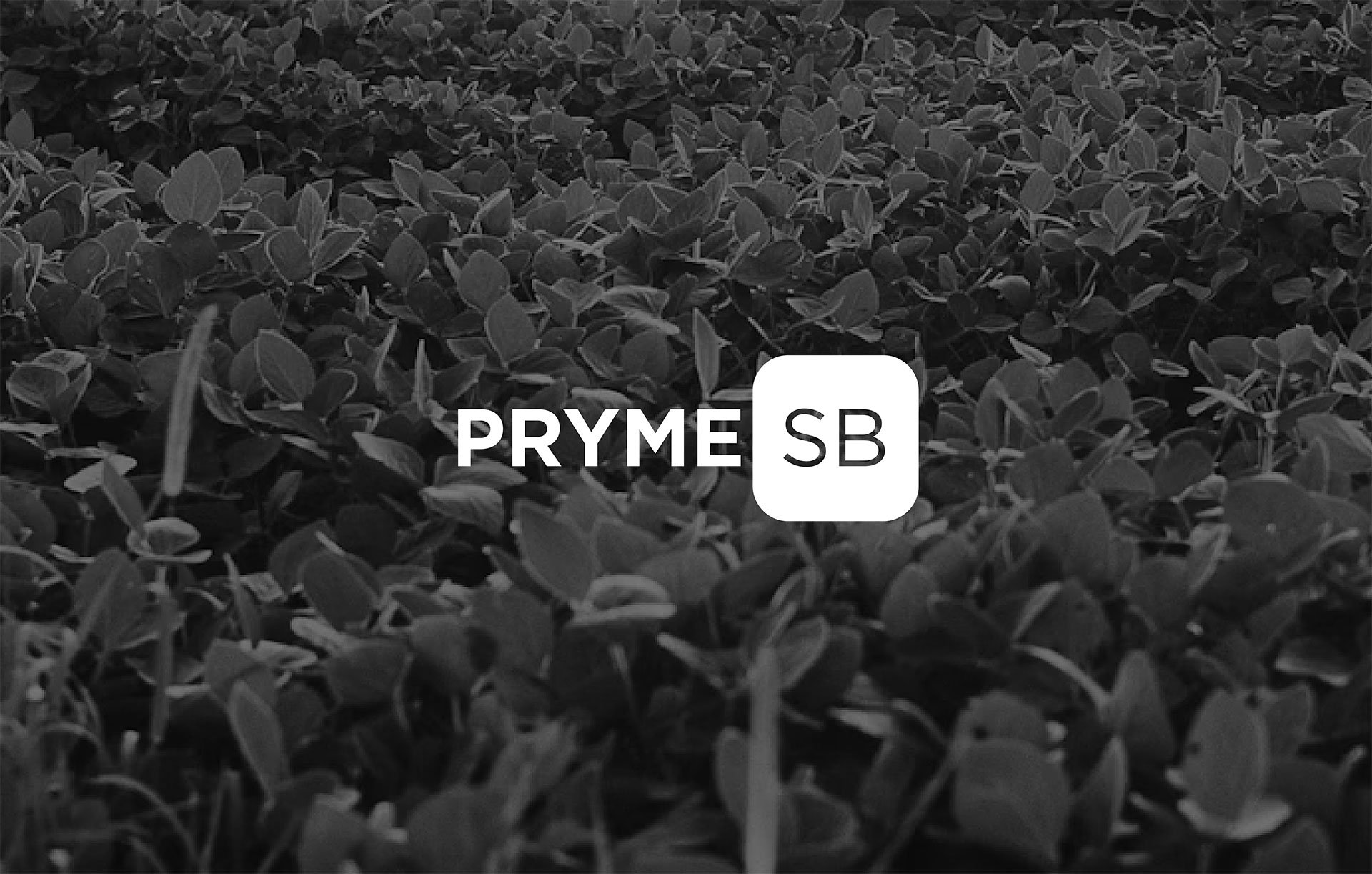 Product-Photo_PRYME-SB_Soybean
