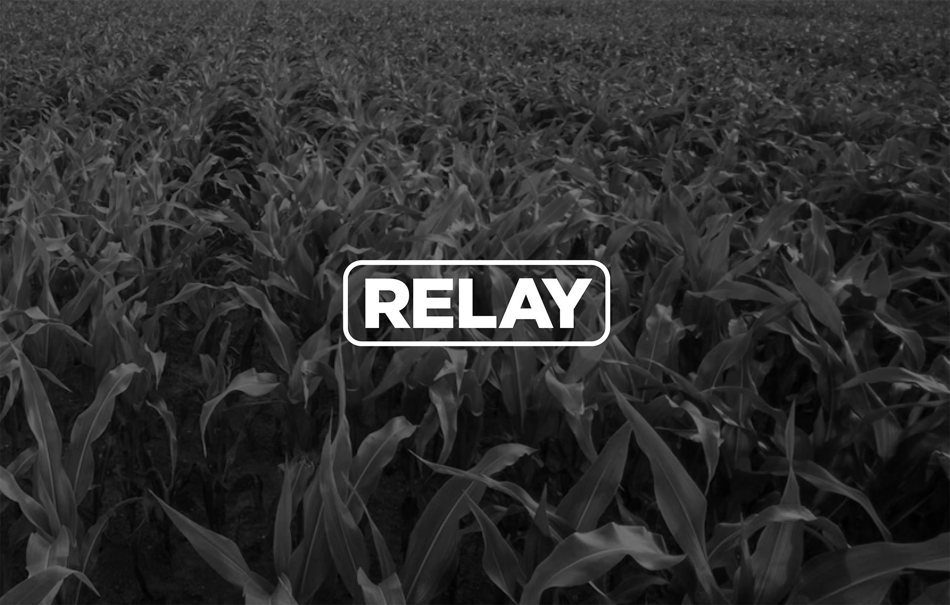 Product-Photo_RELAY_Corn
