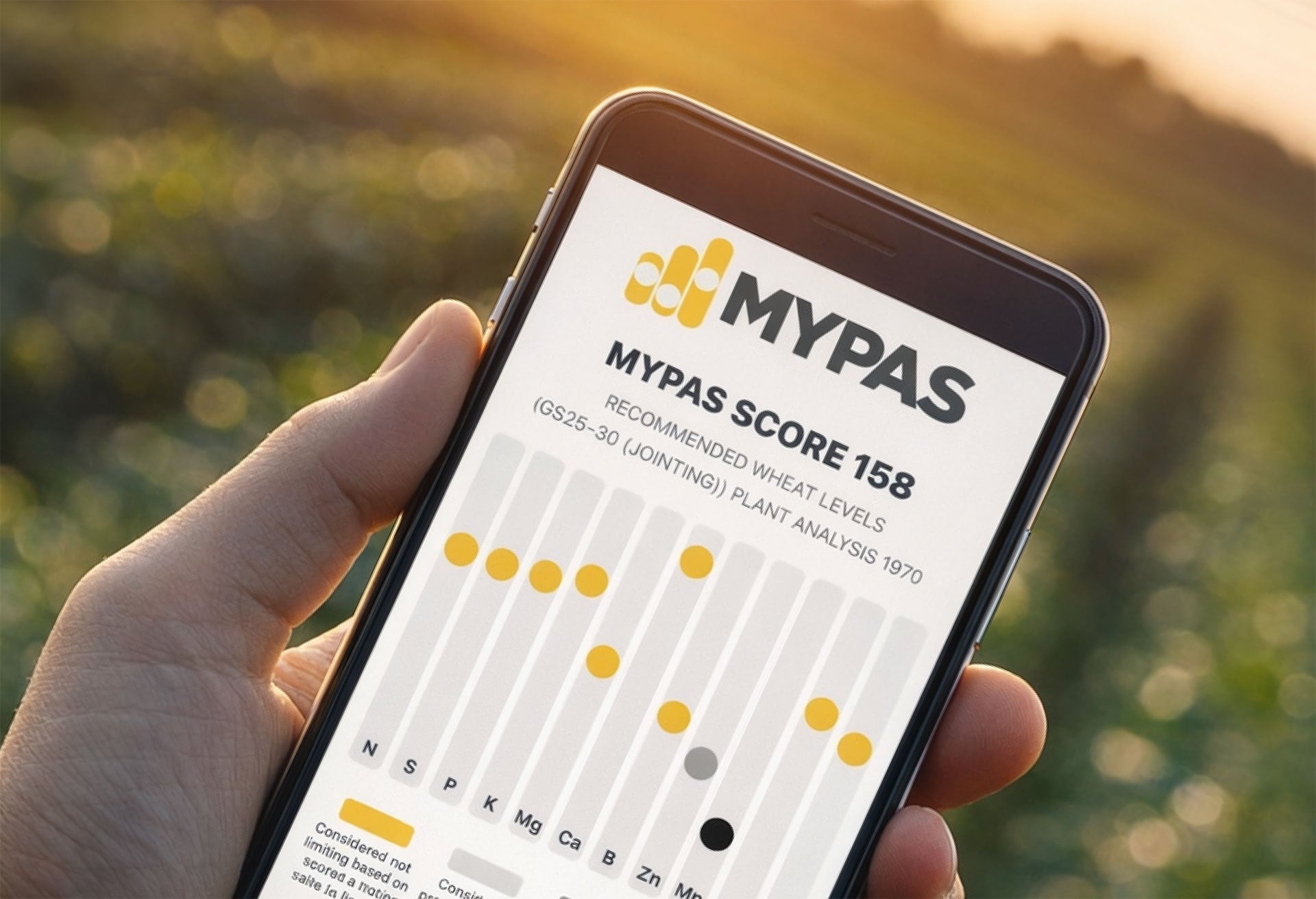 MYPAS-Photo-2